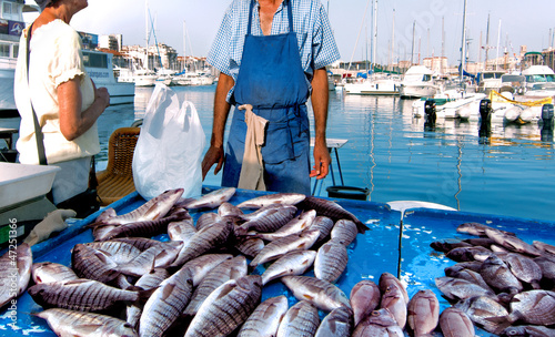 Photo: France. Marseille. Fish Market. Yachts. France. Marseille. Fish Market. Yachts.
