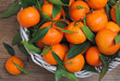 Mandarines citrus in basket straight from the tree