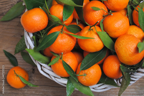 Photo: Mandarines citrus in basket straight from the tree Mandarines citrus in basket straight from the tree