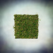 turf square