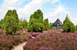 Sommer in der Lüneburger Heide