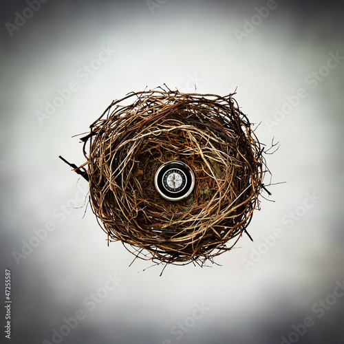 Photo: compass nest compass nest