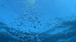 Neverending bubbles. Shot undersea.