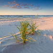 Photo: sunset on the beach sunset on the beach