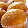 chocolate chip muffins