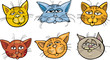 Cartoon funny cats heads set