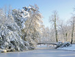 paysage d'hivers à l'Orangerie de Strasbourg