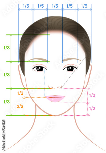 Illustration: 女性の顔の比率 女性の顔の比率
