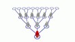 Vidéo : network network