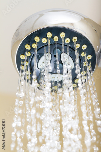 Photo: Shower head Shower head