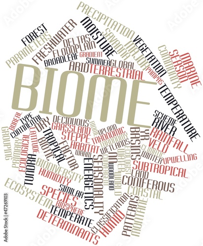 Illustration: Word cloud for Biome Word cloud for Biome
