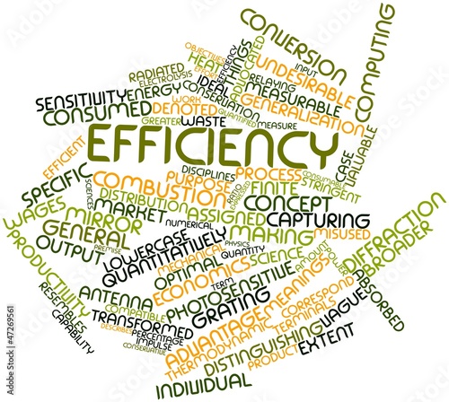 Illustration: Word cloud for Efficiency Word cloud for Efficiency