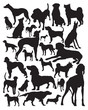 Hunting dogs vector