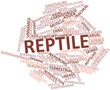 Word cloud for Reptile