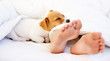 Lying at my owner's feet