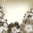 abstract vector flower background