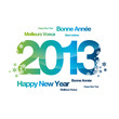 2013 Meilleurs Voeux Bonne Ann...