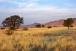 Photo: Desert landscape Desert landscape