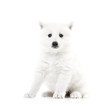She's going to be a great watchdog