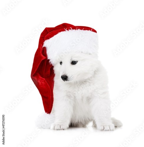 Photo: Festive greetings Festive greetings