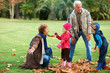Fun with leaves