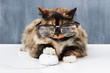 Foto: In full control of the mouse In full control of the mouse