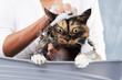 Photo: Let me go! Let me go!
