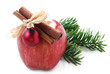 Christmas Apple