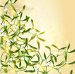 Elegant vintage background with mistletoe