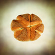 seeded bread