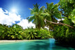 lake and palms, Mahe island, Seychelles