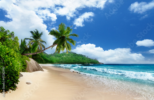 Photo: beach at Mahe island, Seychelles beach at Mahe island, Seychelles