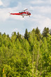 helicopter (Sud Aviation SA316B Alouette III) in a forest
