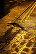 urban path