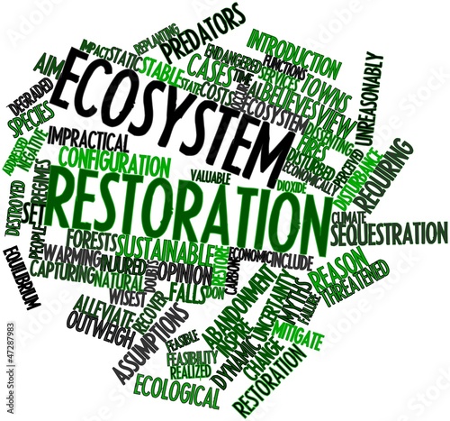 Illustration: Word cloud for Ecosystem restoration Word cloud for Ecosystem restoration