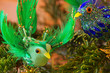Ziervogel - ornamental bird 02