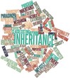 Word cloud for Inheritance