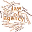 Word cloud for Law of agency