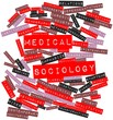Word cloud for Medical sociology