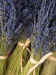 Foto: Bunch of lavender flowers Bunch of lavender flowers