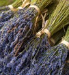 Foto: Bunch of lavender flowers Bunch of lavender flowers