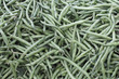 Dark Green String Beans