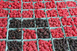 Raspberry and Blackberry Pints