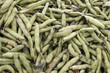 Fava Beans