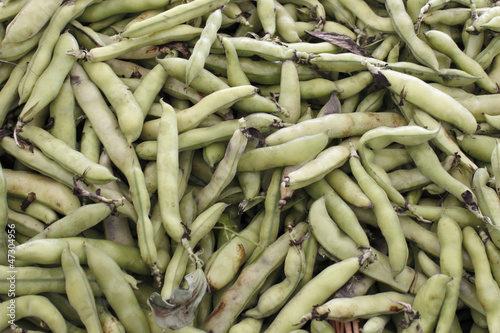 Photo: Fava Beans Fava Beans