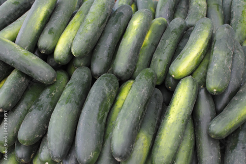 Photo: Lots of Cucumbers For Sale Lots of Cucumbers For Sale