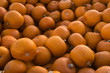 Pumpkin Patch