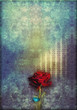 Red rose in to blue deep