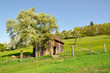 Streuobstwiese im Kochertal bei Schwäbisch Hall