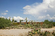 Typical house with a garden in the desert. Tucson - Arzona